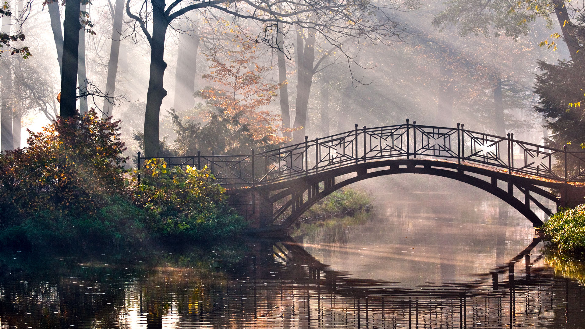 What your dreams are trying to tell you and what to do about them