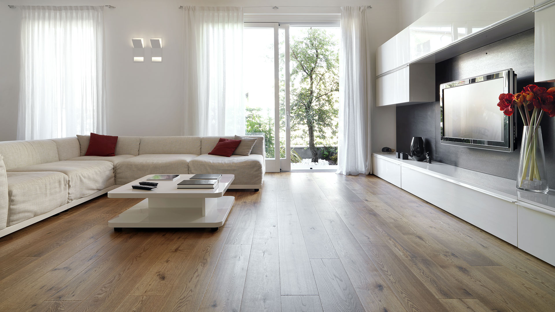 Contact Ian Wallace Dreams