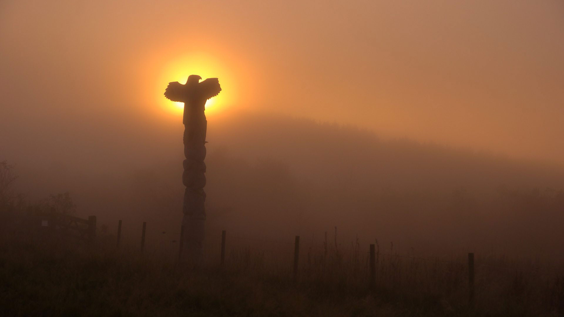 A Dream Is Just A Dream Until You Put It Into Action