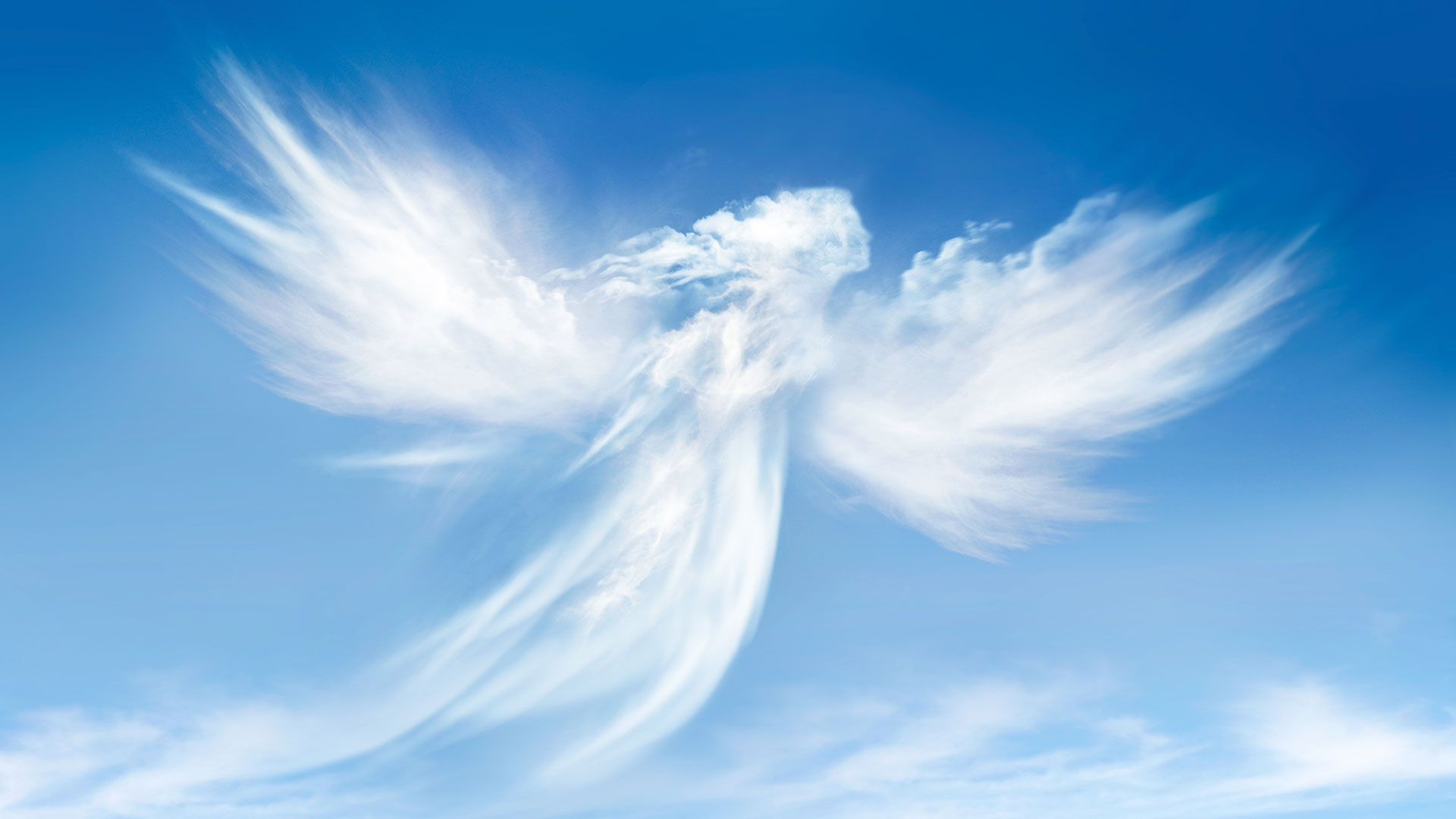 BOUNDLESS FLIGHT DREAM