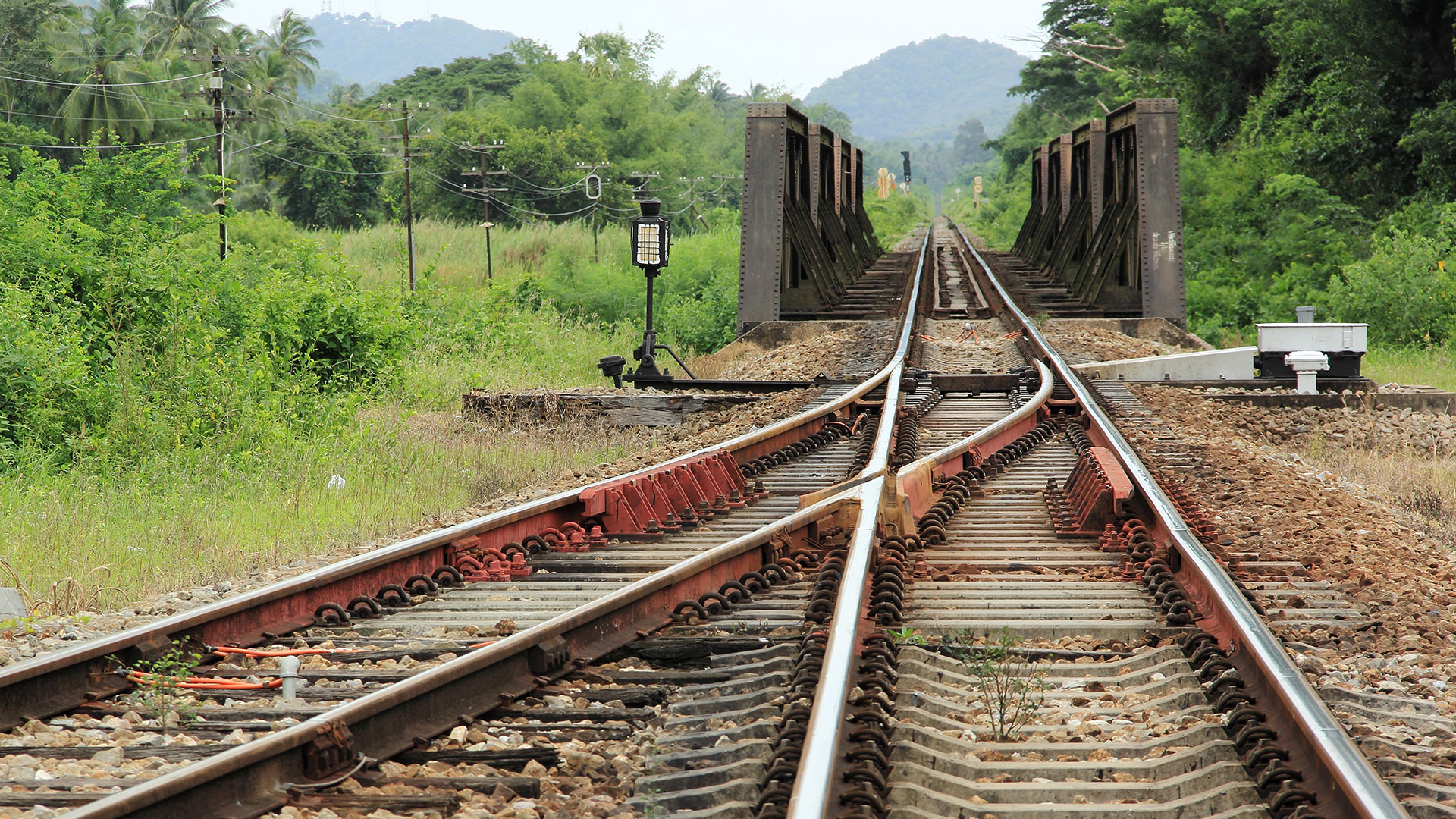 Decoding our work dreams