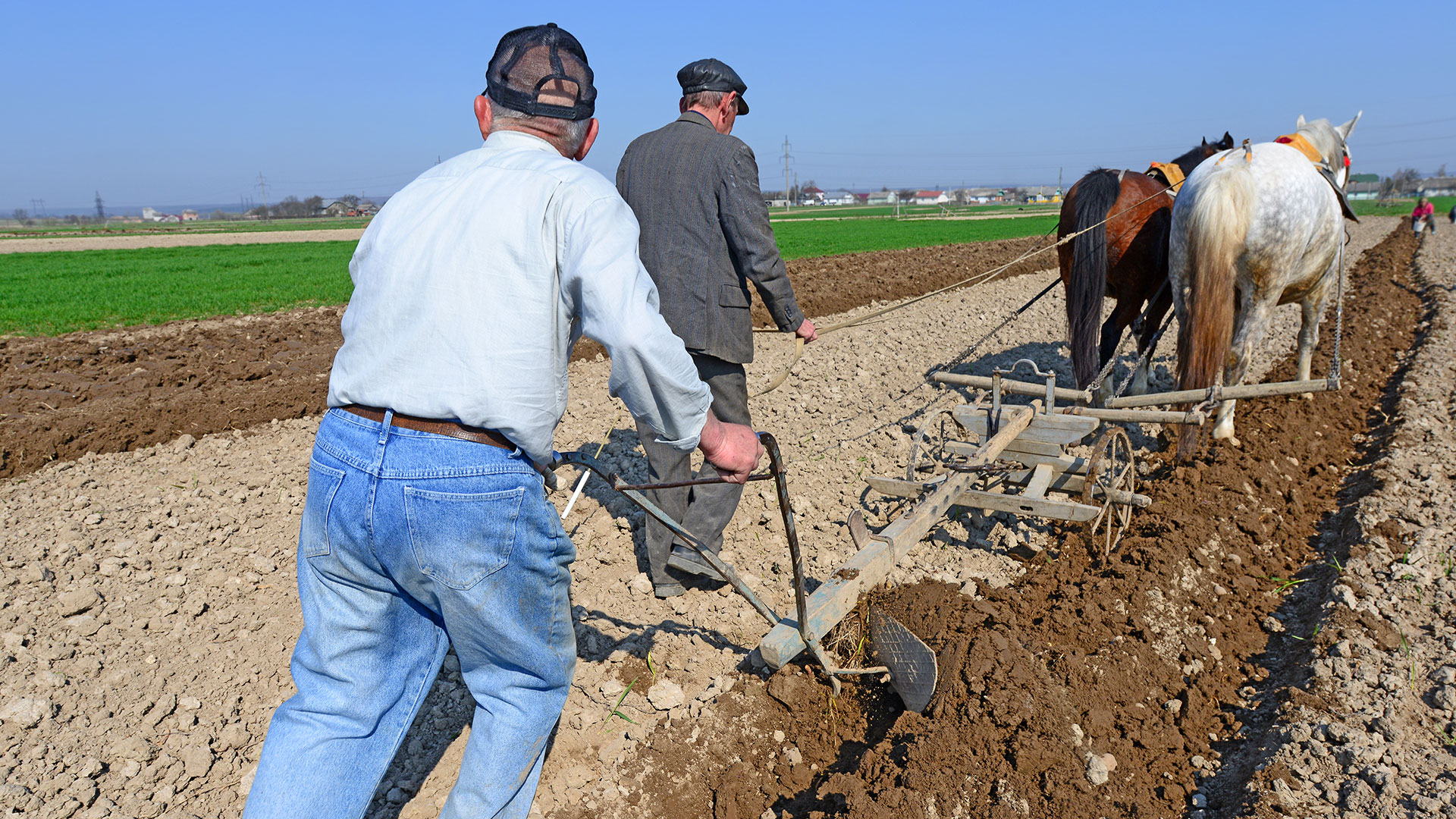 Psychologist Dr Ian Wallace Analyses Our Dreams