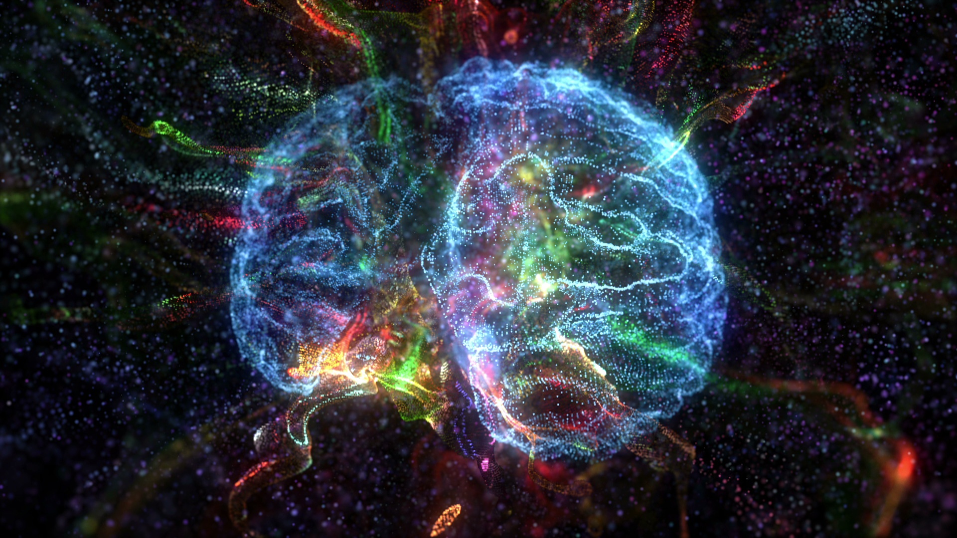 You create your dreams and your dreams create you